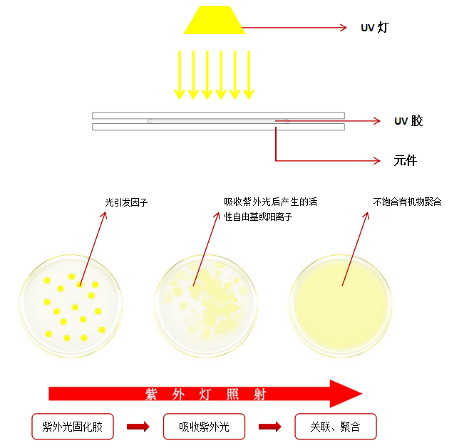 紫外光固化膠反應(yīng)原理